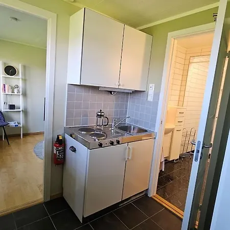 Hybel Med Naerhet Til Alt Apartment